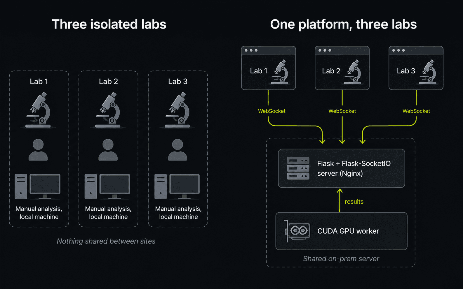One platform — every site drives its microscope through the browser over WebSockets and runs AI analysis on a shared GPU server, in real time.